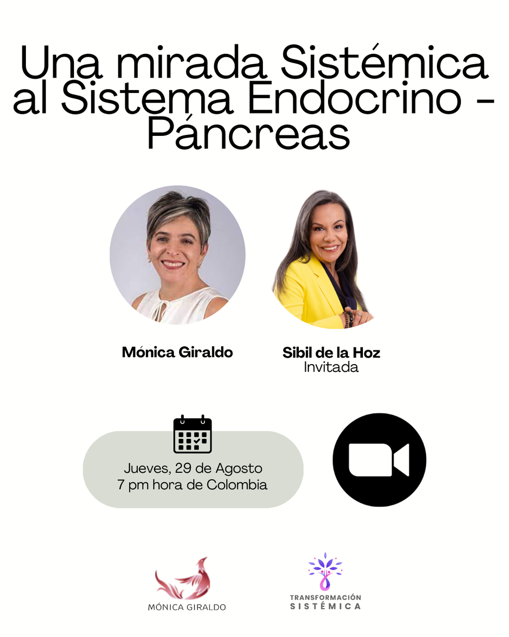 Una Mirada Sistémica al Sistema Endocrino – Páncreas – Webinar Gratuito